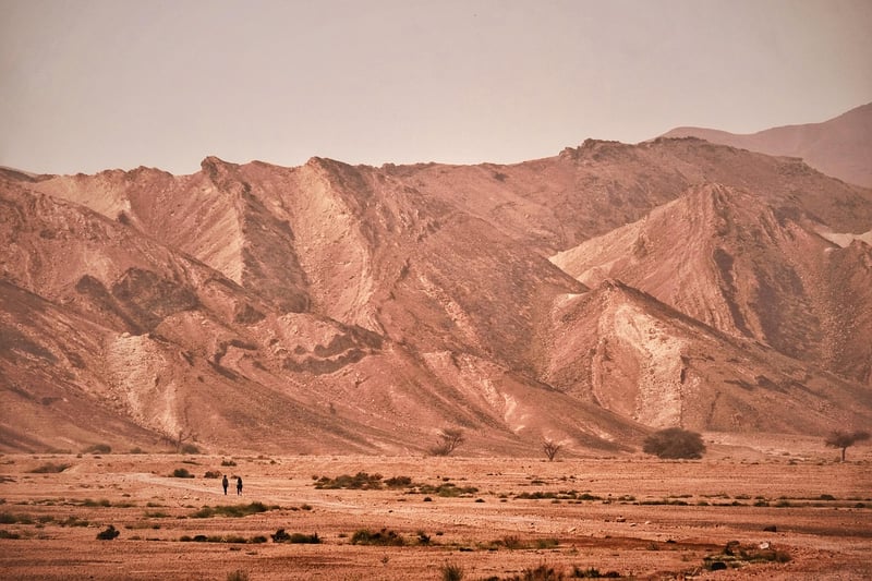 Desert Trek